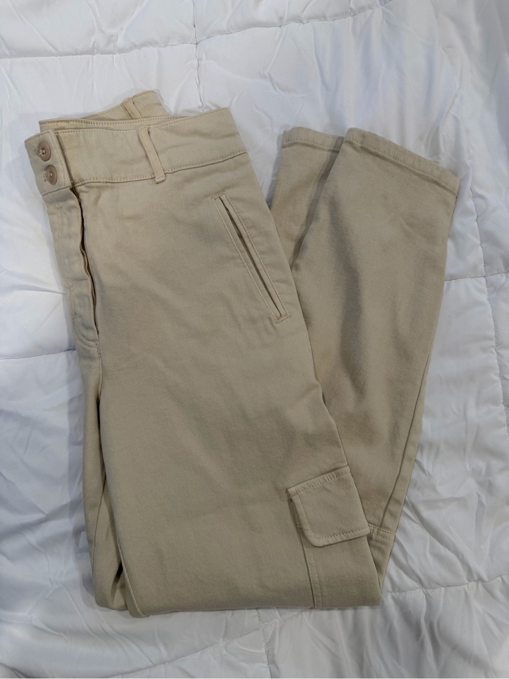 Aritzia Wilfred free cargo pants